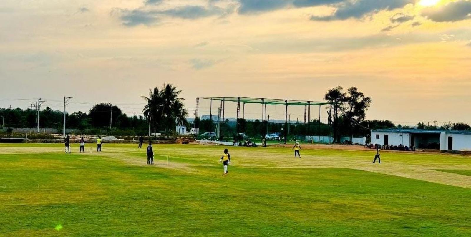 Cricket ground at golden hour